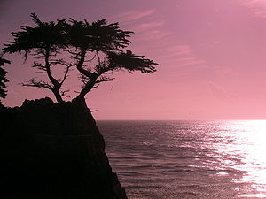 Sunset at the Cypress Point Club at Pebble Beach